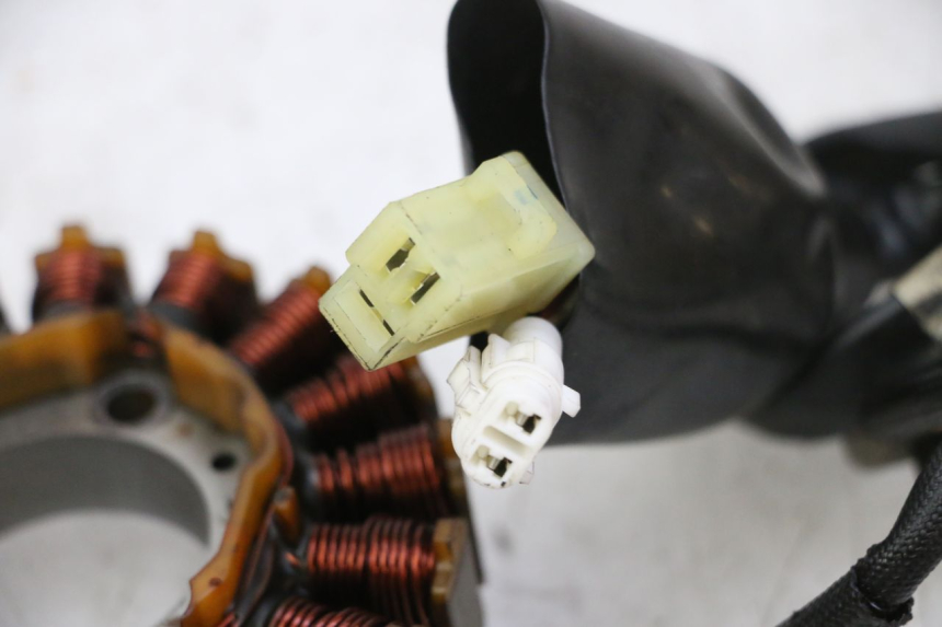 photo de LICHTMASCHINE YAMAHA X-MAX XMAX 250 (2006 - 2009) - Gesamtansicht des Produkts