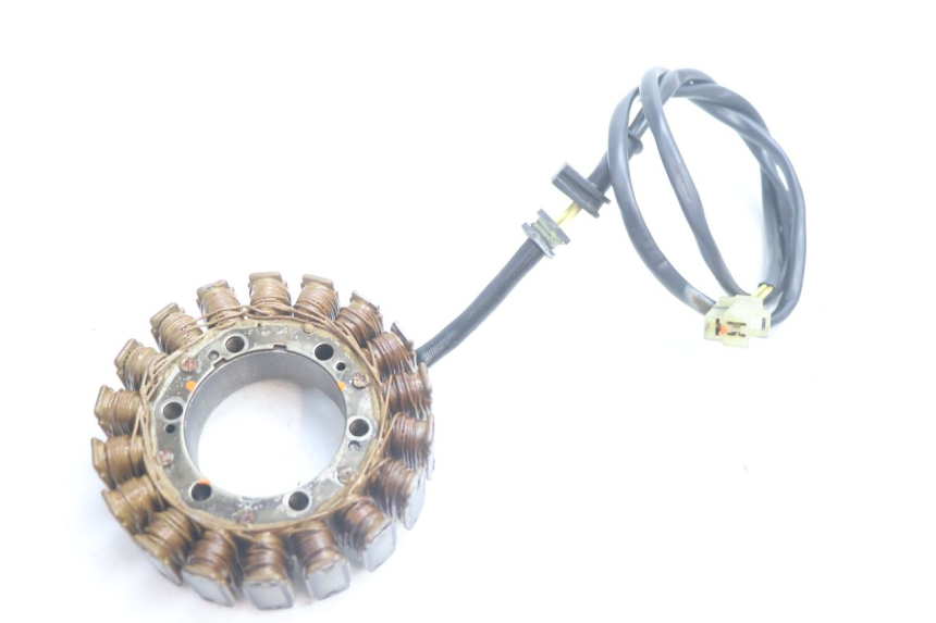 photo de LICHTMASCHINE HONDA XRV AFRICA TWIN 750 (1990 - 1992) - Alternative Perspektive
