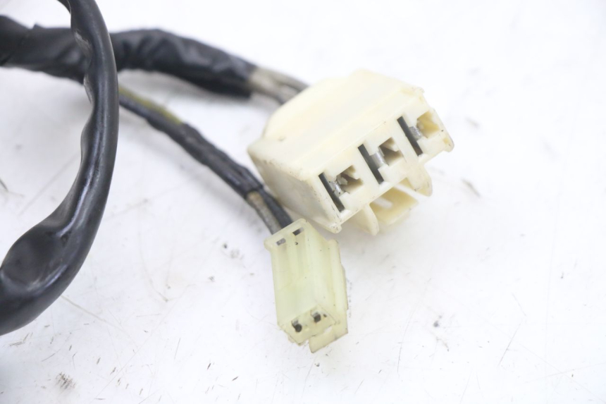 photo de LICHTMASCHINE YAMAHA FZS FAZER 600 (2001 - 2003) - Alternative Perspektive