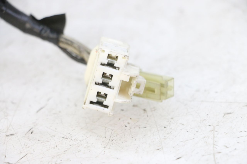 photo de LICHTMASCHINE YAMAHA FZS FAZER 600 (2001 - 2003) - Zoom auf Gebrauchszustand