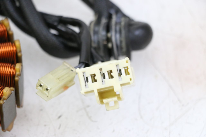 photo de LICHTMASCHINE YAMAHA YP T-MAX TMAX 530 (2017 - 2020) - Zoom auf Gebrauchszustand