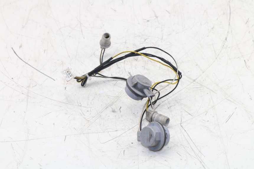 photo de LAMPENFASSUNG PIAGGIO XEVO - X EVO 125 (2007 - 2017) - Detailansicht des Bauteils