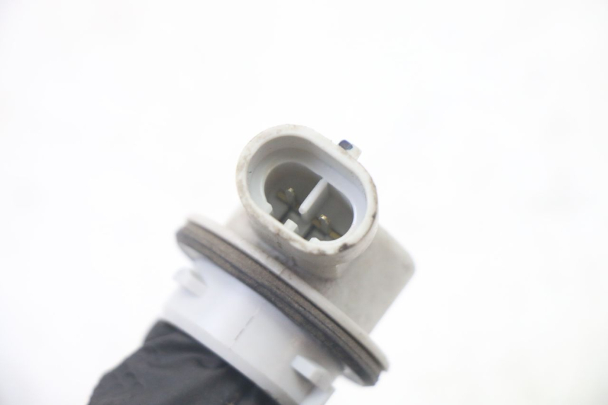 photo de LAMPENFASSUNG YAMAHA X-MAX XMAX 125 (2010 - 2013) - Alternative Perspektive