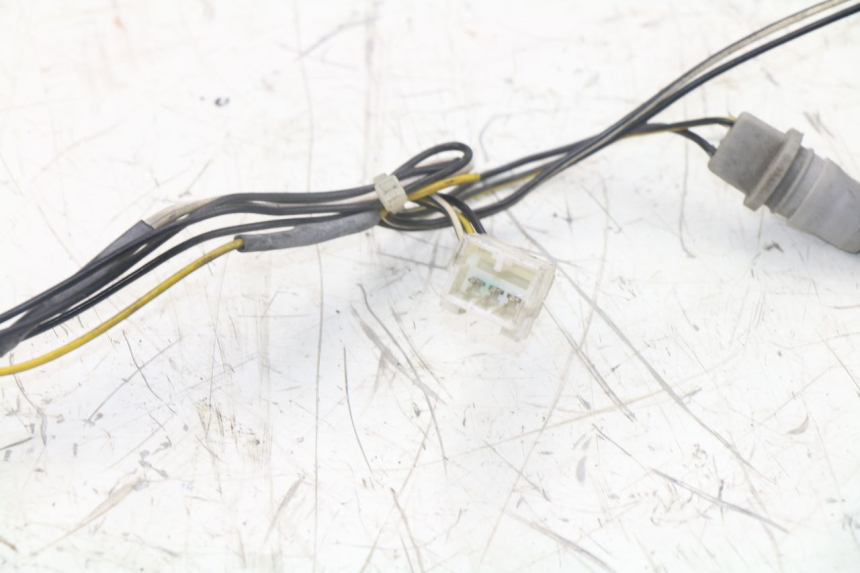 photo de LAMPENFASSUNG PIAGGIO XEVO - X EVO 125 (2007 - 2017) - Detailansicht des Bauteils