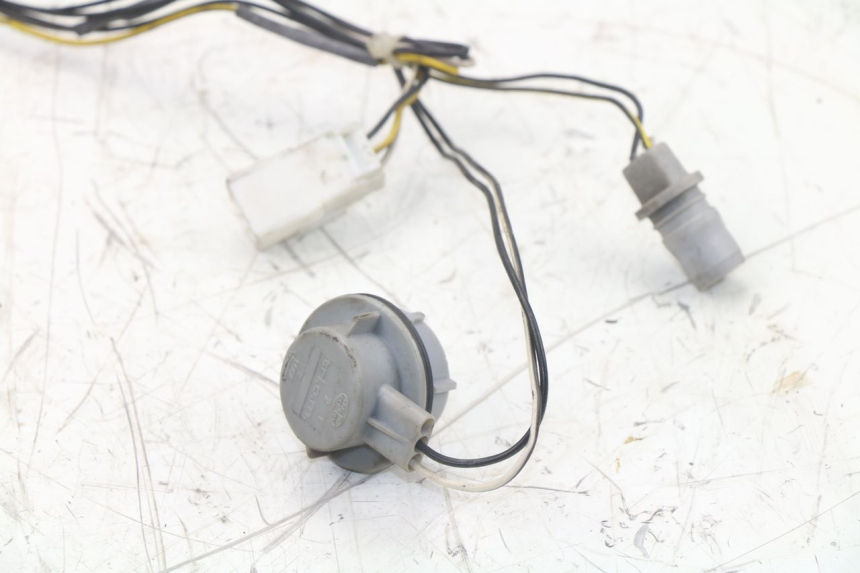 photo de LAMPENFASSUNG PIAGGIO XEVO - X EVO 125 (2007 - 2017) - Alternative Perspektive