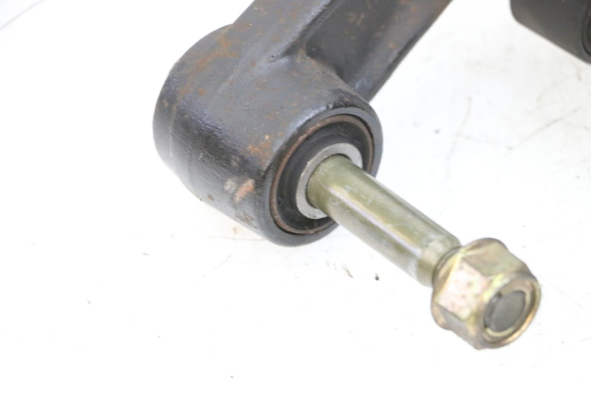 photo de MOTORHALTER ADIVA AD3 300 (2014 - 2020) - Gesamtansicht des Produkts