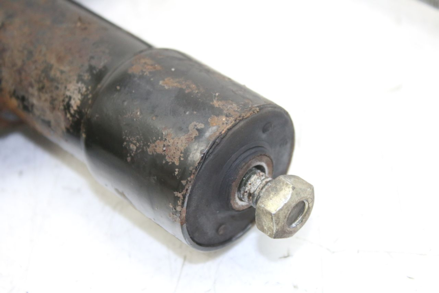 photo de MOTORHALTERUNG PIAGGIO LIBERTY 4T 50 (2004 - 2008) - Alternative Perspektive