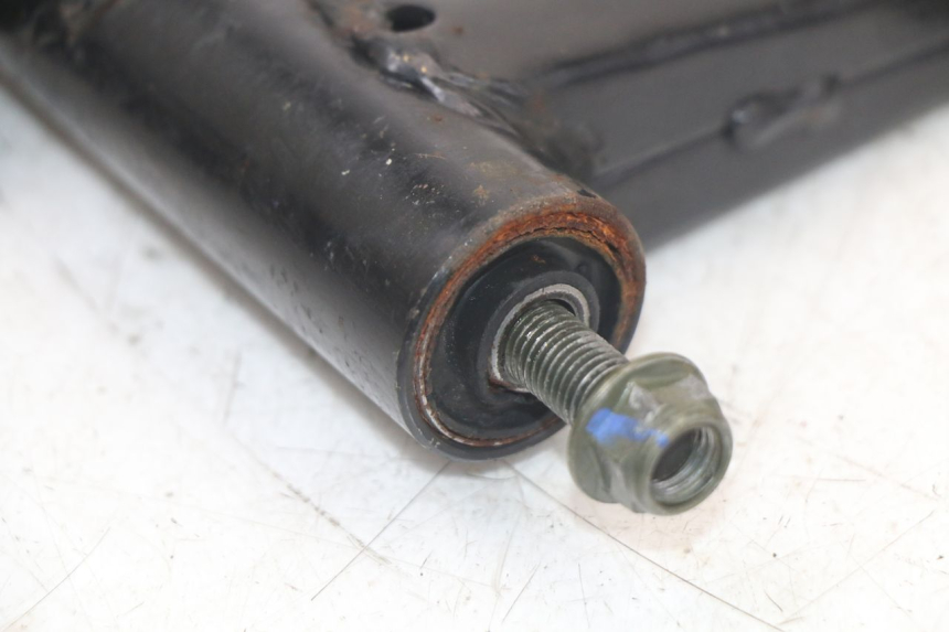 photo de MOTORHALTER MASH LEGEND'R 4T 50 (2021 - 2025) - Gesamtansicht des Produkts