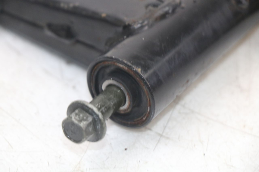 photo de MOTORHALTER MASH LEGEND'R 4T 50 (2021 - 2025) - Oberflächenzustand und Material