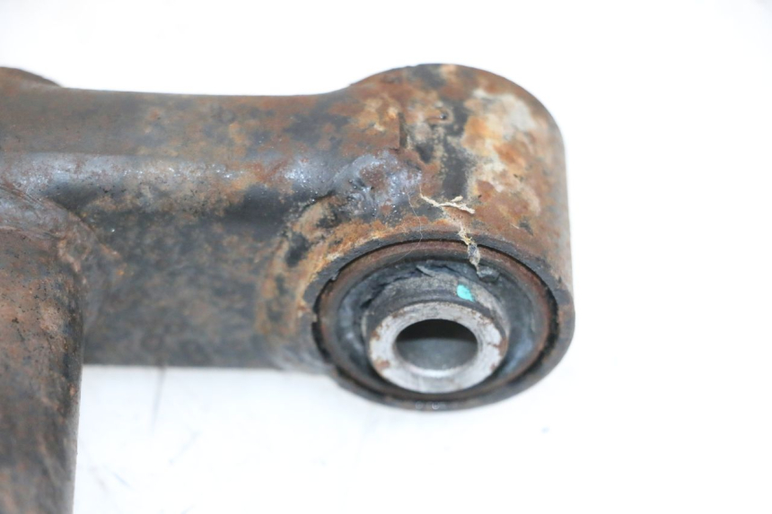 photo de MOTORHALTER PEUGEOT TWEET 4T 50 (2014 - 2019) - Detailansicht des Bauteils