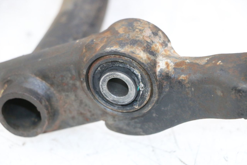 photo de MOTORHALTER PEUGEOT TWEET 4T 50 (2014 - 2019) - Zoom auf Gebrauchszustand