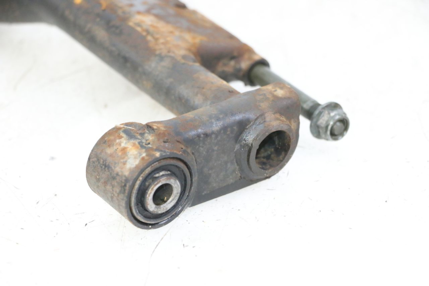 photo de MOTORHALTER PEUGEOT TWEET 4T 50 (2014 - 2019) - Gesamtansicht des Produkts