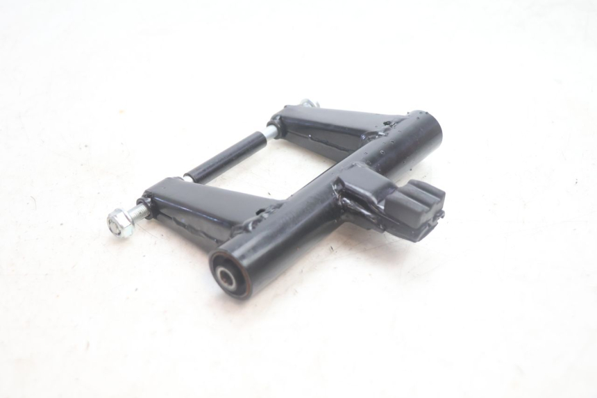 photo de MOTORHALTER JM MOTORS R-MAX TECH 50 (2024 - 2026) - Zoom auf Gebrauchszustand