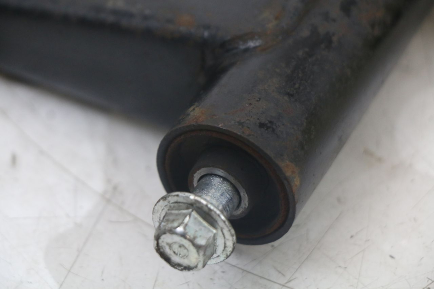 photo de MOTORHALTERUNG JM MOTORS SANTANA 50 (2014 - 2023) - Oberflächenzustand und Material