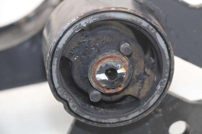 photo de MOTORHALTER PEUGEOT SATELIS 300 (2012 - 2015) - Oberflächenzustand und Material