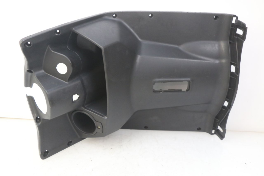 photo de INNENVERKLEIDUNG RED ELECTRIC RED E PRO 1 (2017 - 2019) - Oberflächenzustand und Material