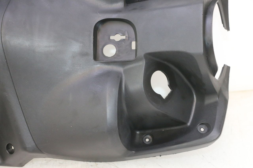 photo de INNENVERKLEIDUNG JM MOTORS SANTANA 50 (2014 - 2023) - Detaillierte Sichtprüfung