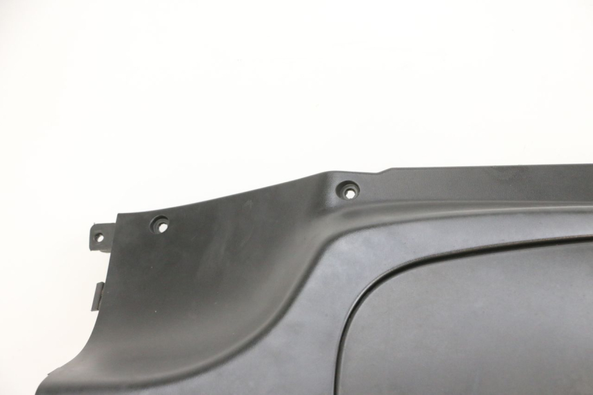 photo de BEINSCHILD PEUGEOT TWEET PRO EFI 4T 50 (2021 - 2022) - Detaillierte Sichtprüfung