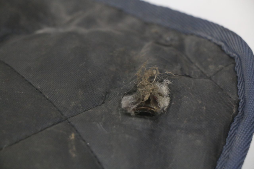 photo de SCHÜRZENSCHUTZ KYMCO SENTO 100 (2008 - 2013) - Alternative Perspektive