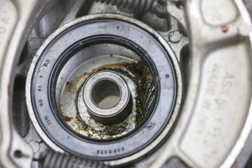 photo de VORDERRADBREMSBACKE HONDA SCV LEAD 100 (2003 - 2007) - Hochauflösende Nahaufnahme