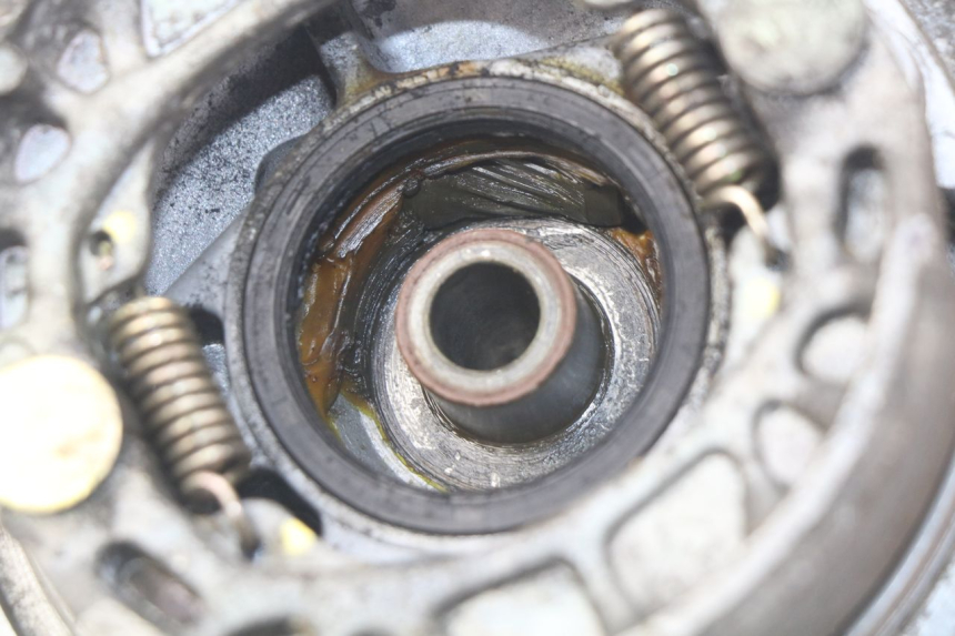 photo de VORDERRADBREMSBACKE PEUGEOT LUDIX 50 (2005 - 2007) - Alternative Perspektive