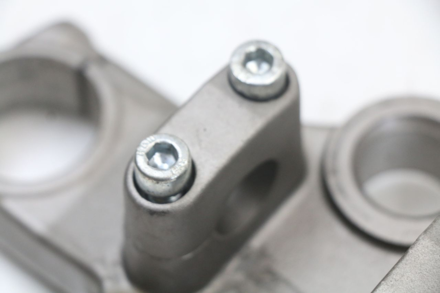 photo de GABELBRÃœCKE OBEN RIEJU MRT 50 (2018 - 2021) - Alternative Perspektive