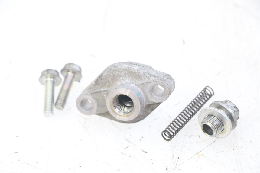 photo de STEUERKETTENSPANNER  HONDA FORZA ABS 300 (2013 - 2017) - Technische Nahaufnahme