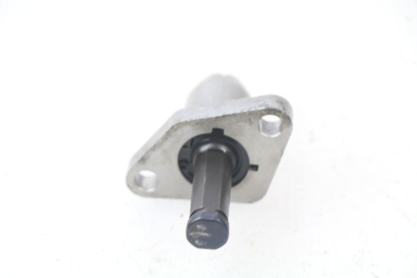 photo de STEUERKETTENSPANNER  PIAGGIO LIBERTY 4T 50 (2018 - 2021) - Zoom auf Gebrauchszustand