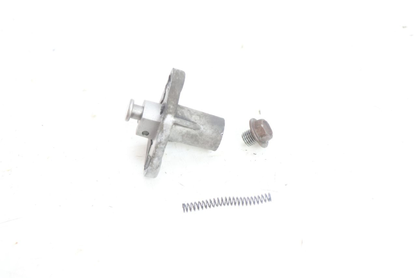 photo de ZAHNRIEMENSPANNER PEUGEOT SATELIS 125 (2006 - 2009) - Zoom auf Gebrauchszustand