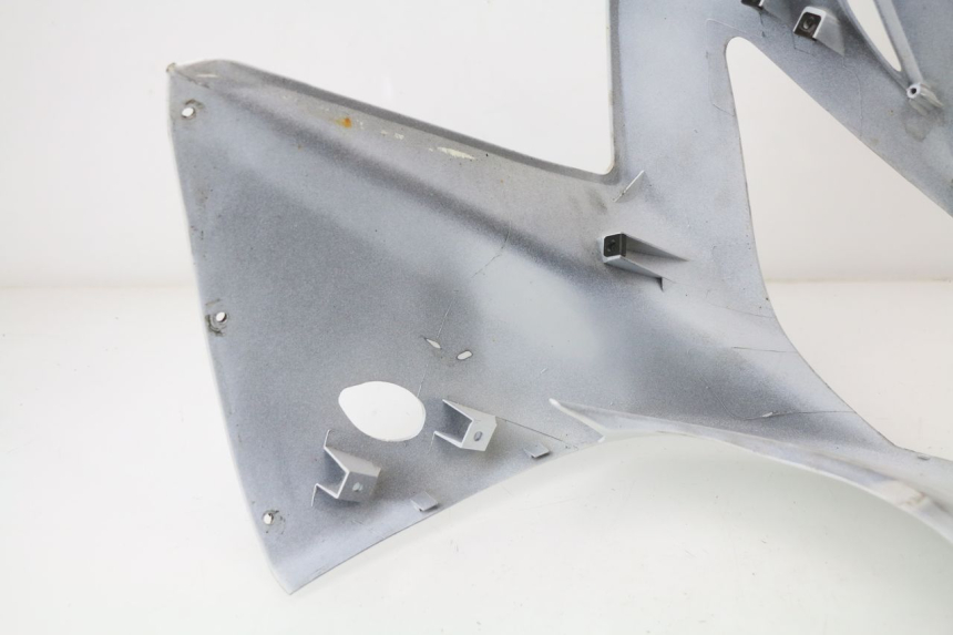 photo de KANZEL HONDA CBR 929 RR FIREBLADE 900 (2000 - 2001) - Charakteristische Merkmale