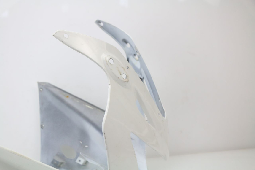 photo de KANZEL HONDA CBR 929 RR FIREBLADE 900 (2000 - 2001) - Zoom auf Komponenten