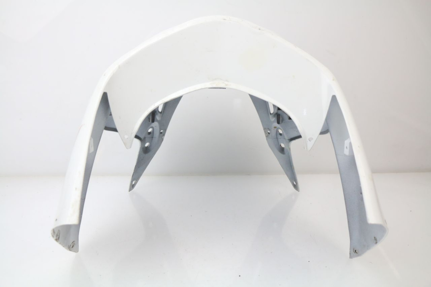 photo de KANZEL HONDA CBR 929 RR FIREBLADE 900 (2000 - 2001) - Zoom auf Gebrauchszustand