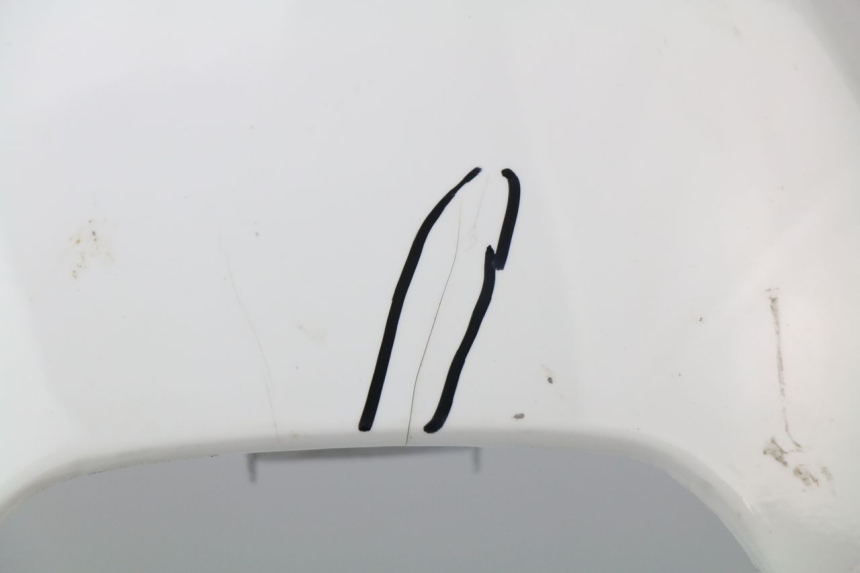 photo de KANZEL HONDA CBR 929 RR FIREBLADE 900 (2000 - 2001) - Technische Nahaufnahme