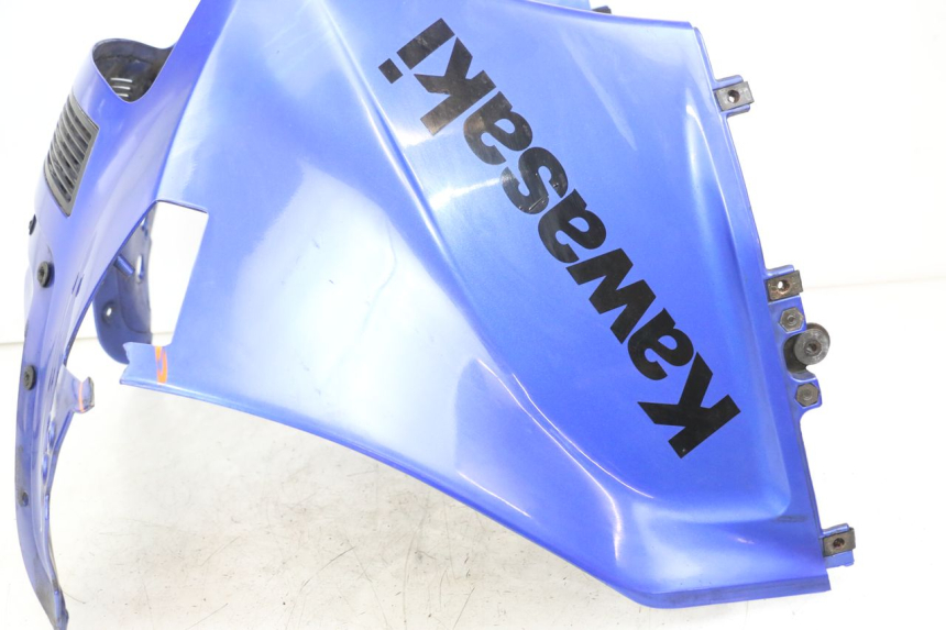 photo de KANZEL KAWASAKI GTR 1000 (1994 - 2004) - Fokus auf die Struktur