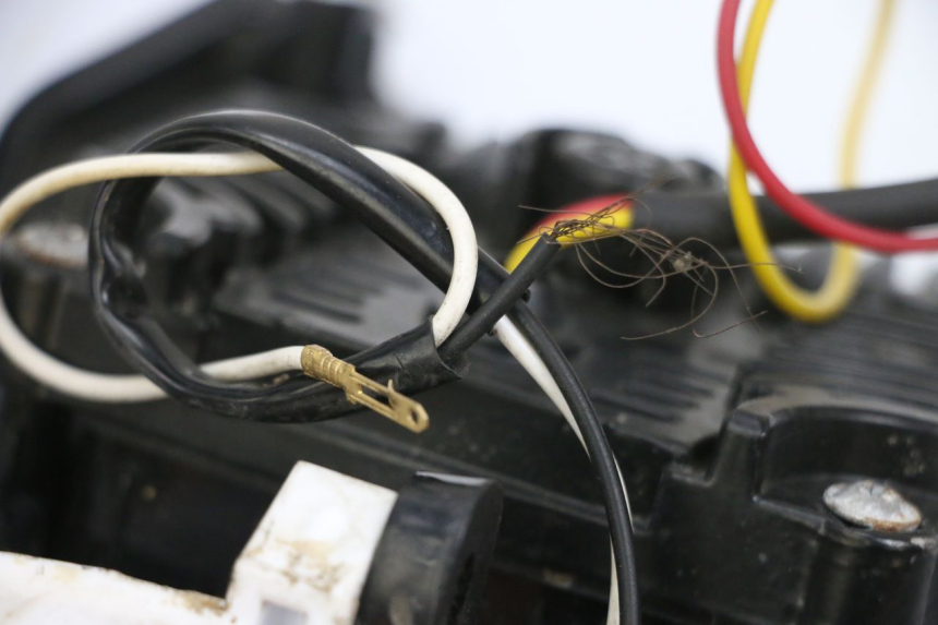 photo de KANZEL RIEJU MRT 50 (2018 - 2021) - Detailansicht des Bauteils