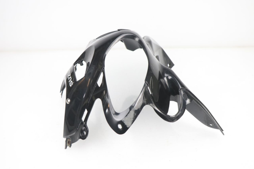 photo de KANZEL SUZUKI SV S 650 (1999 - 2002) - Technische Nahaufnahme