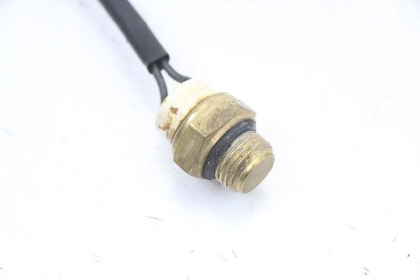 photo de THERMOSCHALTER REGAL RAPTOR RAXTER 2 125 (2007 - 2015) - Detailansicht des Bauteils