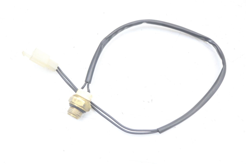 photo de THERMOSCHALTER REGAL RAPTOR RAXTER 2 125 (2007 - 2015) - Zoom auf Gebrauchszustand