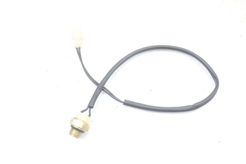 photo de THERMOSCHALTER REGAL RAPTOR SPYDER 125 (2010 - 2018) - Hauptansicht