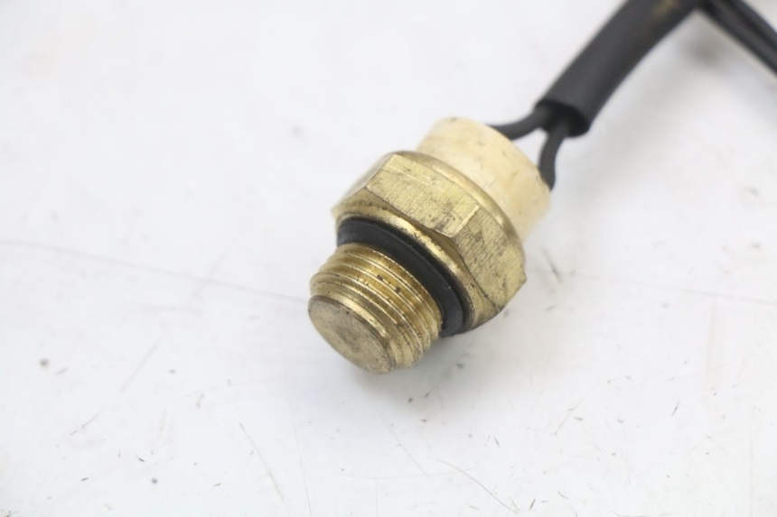 photo de THERMOSCHALTER REGAL RAPTOR SPYDER 125 (2010 - 2018) - Detailansicht des Bauteils