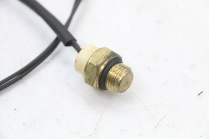 photo de THERMOSCHALTER REGAL RAPTOR SPYDER 125 (2010 - 2018) - Alternative Perspektive