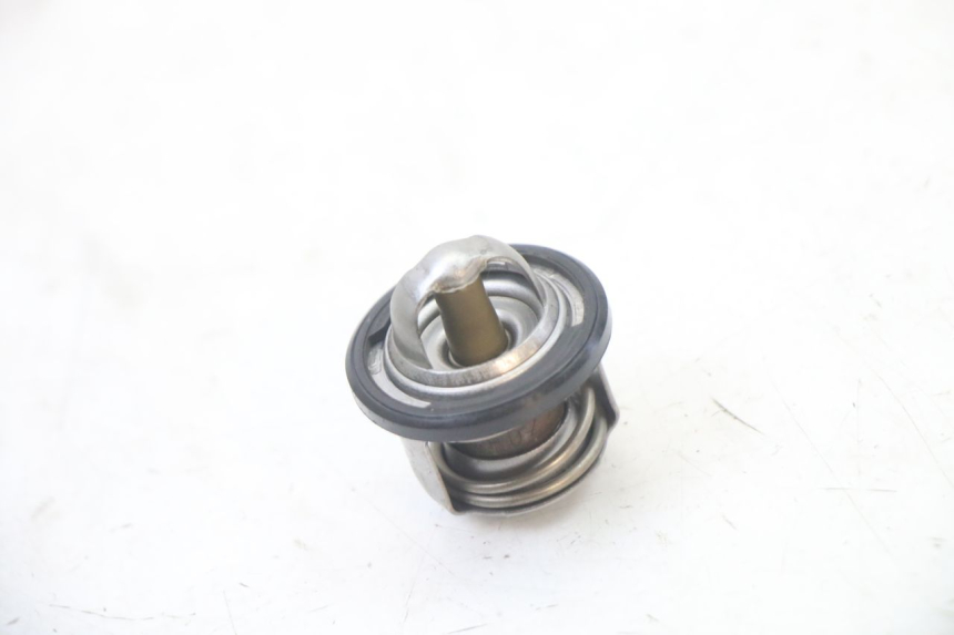 photo de THERMOSTAT  APRILIA ATLANTIC 125 (2003 - 2009) - Zoom auf Gebrauchszustand