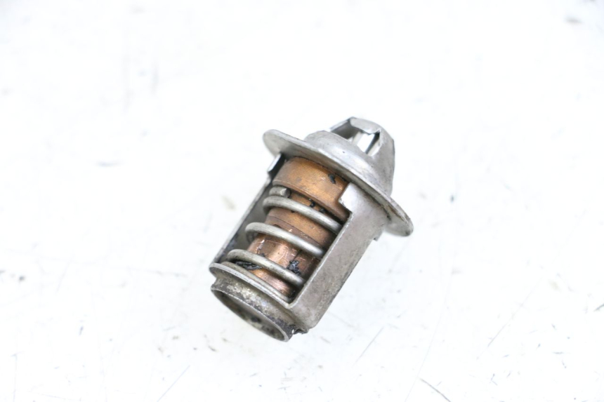 photo de THERMOSTAT  NECO GPX LC 2T 50 (2014 - 2018) - Hauptansicht