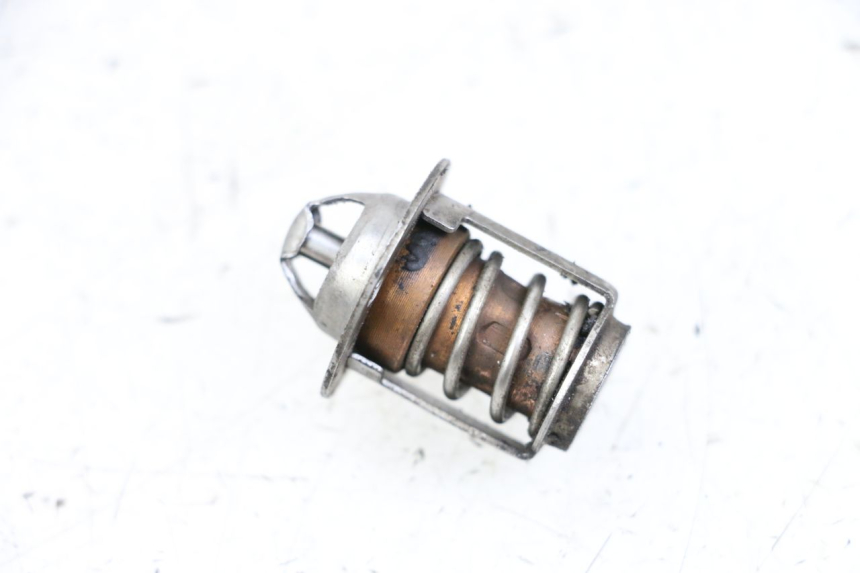 photo de THERMOSTAT  NECO GPX LC 2T 50 (2014 - 2018) - Zoom auf Gebrauchszustand