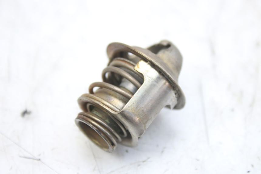 photo de THERMOSTAT PIAGGIO MP3 RL 250 (2006 - 2010) - Hauptansicht