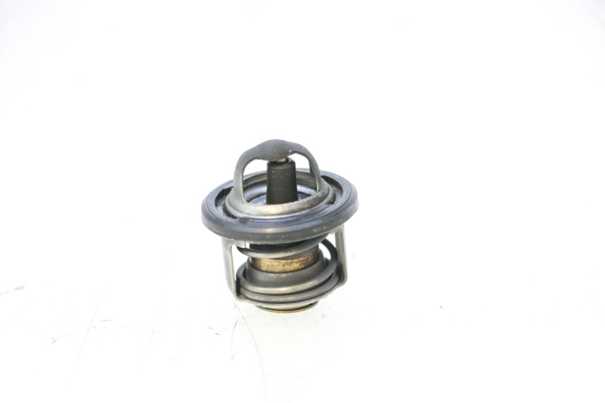 photo de THERMOSTAT  PIAGGIO MP3 125 (2006 - 2014) - Hauptansicht