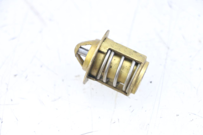 photo de THERMOSTAT  RIEJU MRT 50 (2018 - 2021) - Hauptansicht