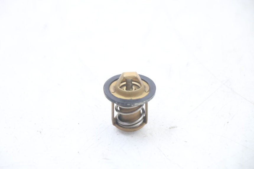 photo de THERMOSTAT  PEUGEOT SPEEDFIGHT 3 LC 2T 50 (2009 - 2015) - Zoom auf Gebrauchszustand