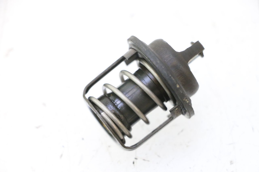 photo de THERMOSTAT PEUGEOT SATELIS 125 (2006 - 2009) - Hauptansicht