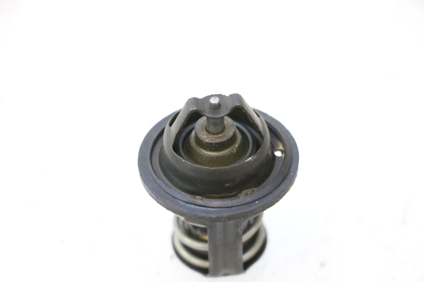 photo de THERMOSTAT PEUGEOT SATELIS 125 (2006 - 2009) - Zoom auf Gebrauchszustand